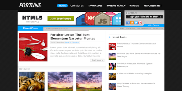 Fortune WordPress theme