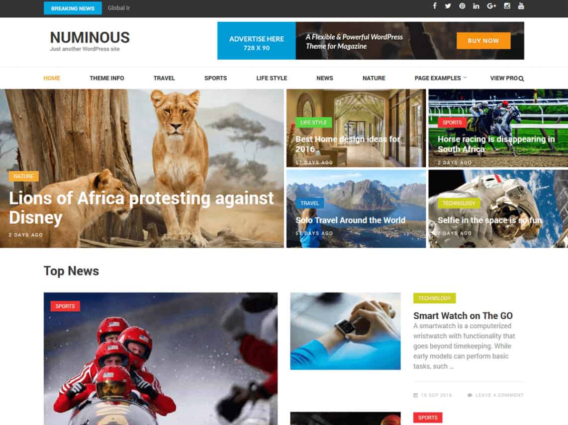 Numinous PRO WordPress theme