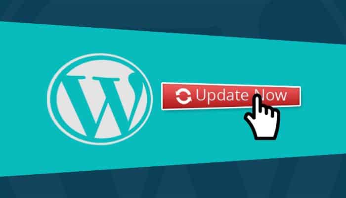 Why You Should Update Your WordPress Website