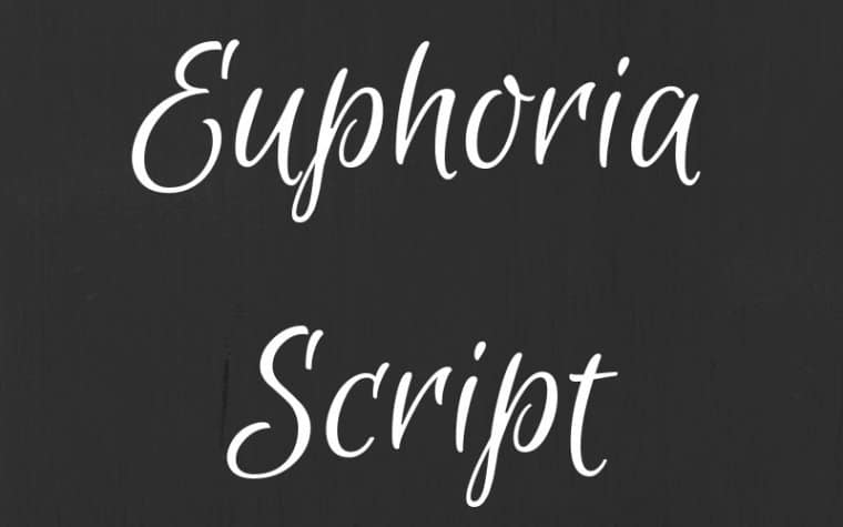 Euphoria Script