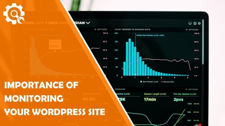 Importance of Monitoring Your Site