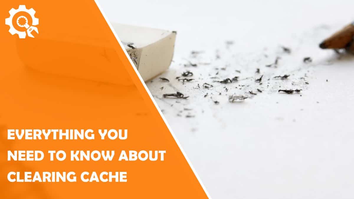 Read Everything You Wanted to Know About Clearing Cache in WordPress