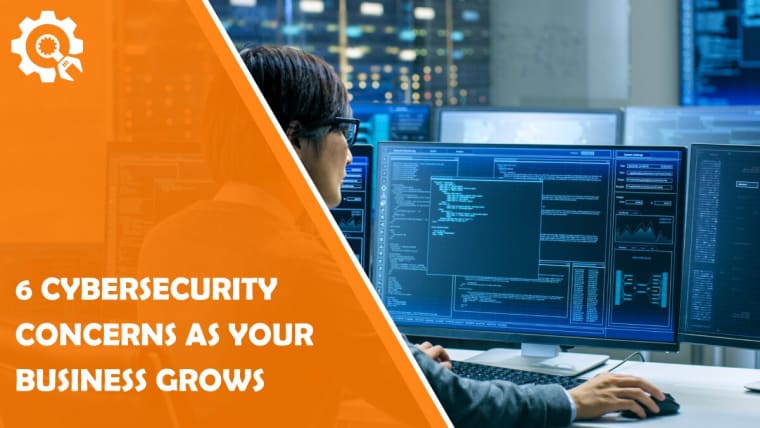6 Cybersecurity Concerns as Your Business Grows