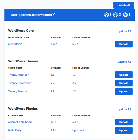 BionicWP update option