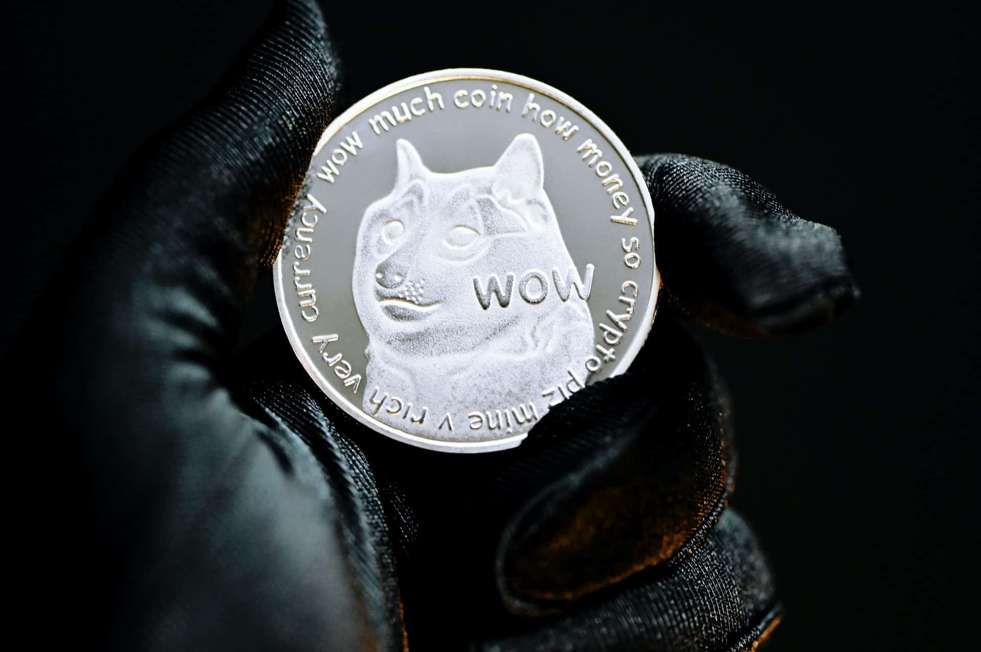 Person holding Doge coin
