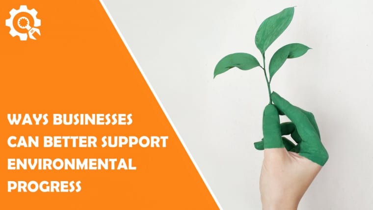 Ways That Businesses Can Better Support Environmental Progress
