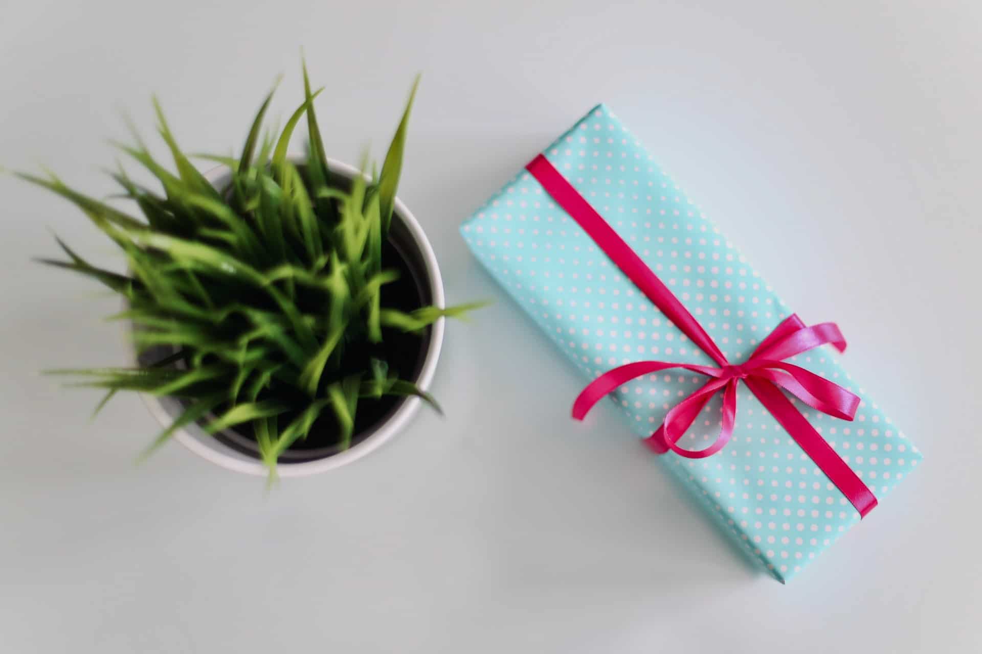 Blue gift box