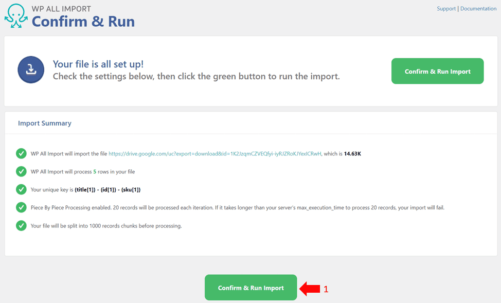 Confirm and run screen in WP All Import plugin 