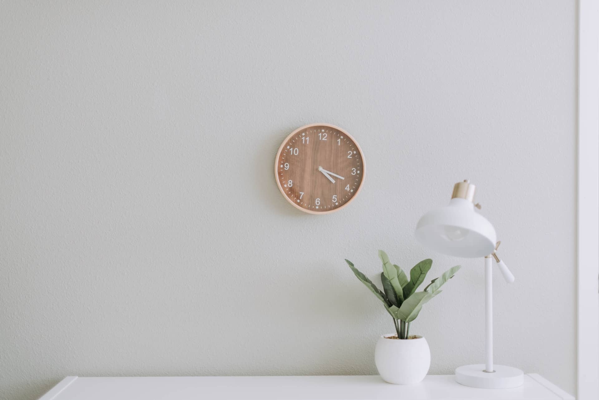 Green plant on white desk