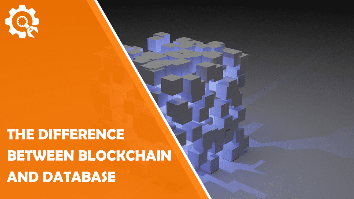 Read What Is The Difference Between Blockchain And Database?