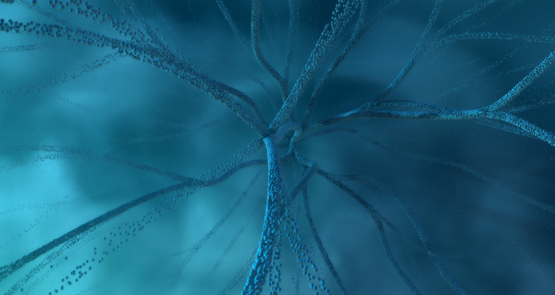 Read Cannot Remove Network Location in Windows 10? Here’s How to Fix It