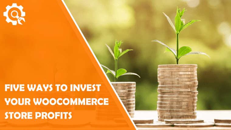 Five Different Ways to Invest Your WooCommerce Store Profits: Which Is Right for You?
