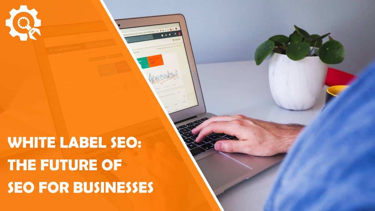 Read White label SEO: The future of SEO for businesses