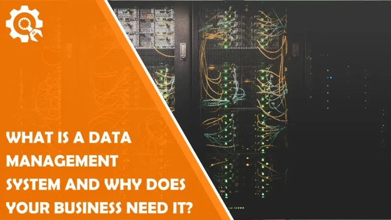 What is a data management system and why does your business need it?