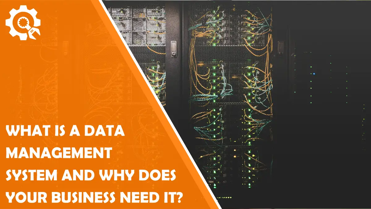 Read What is a data management system and why does your business need it?
