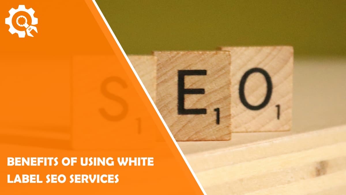 Read Benefits of Using White Label SEO Services