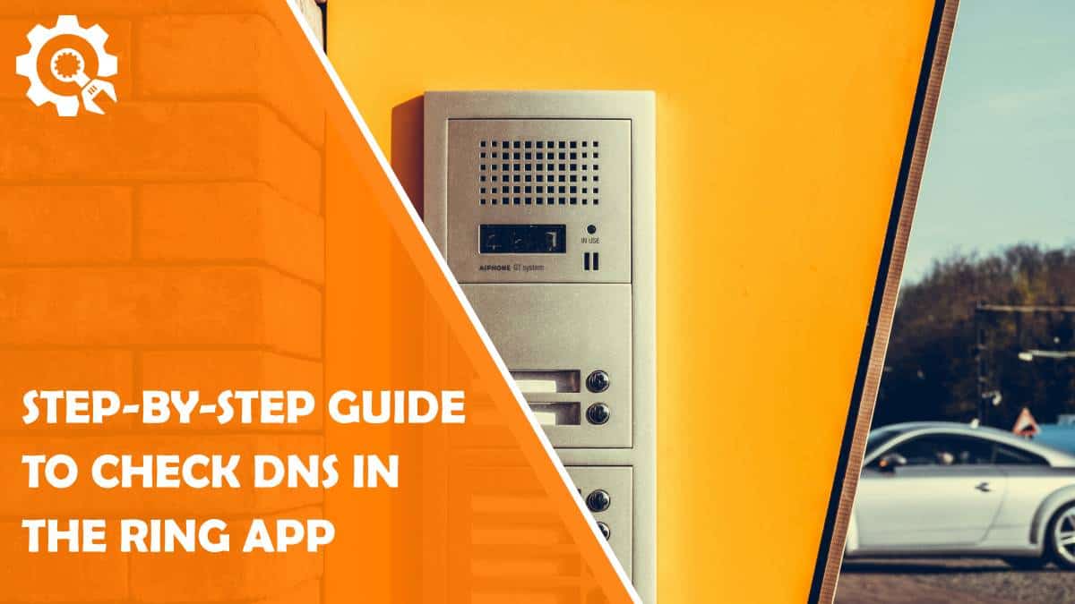 Read Step-by-Step Guide to Check DNS in the Ring App