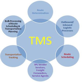 TMS