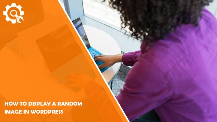 How to Display a Random Image in WordPress