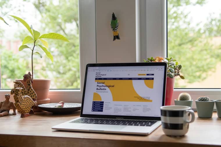 Should You Accept Crypto on WordPress?